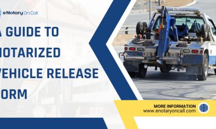 Notarized Vehicle Release Form